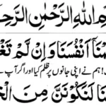 Rabbana Zalamna Anfusana